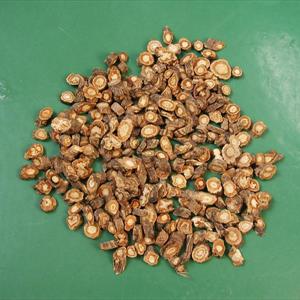 Causes Ejaculation - Know All About Your Quick Ejaculation Problem Causes Ejaculation - Know All About Your Quick Ejaculation Problem