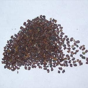 Increased Penile Sensitivity - Controlling Premature Ejaculation With The Help Of Hypnosis Increased Penile Sensitivity - Controlling Premature Ejaculation With The Help Of Hypnosis