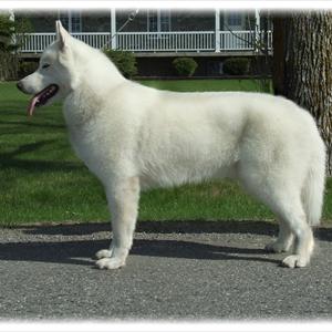 Lifelong Premature Ejaculation - How To Control Premature Ejaculation